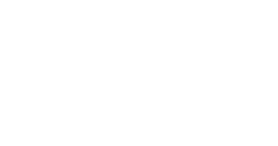 Renocheck