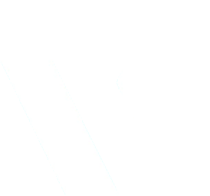 Views Video Marketing